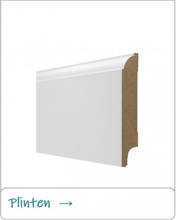 Plinten