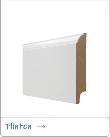 Plinten